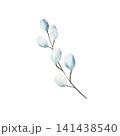 Branch of green eucalyptus. Watercolor winter and christmas hand drawn illustration isolated on background, transparent png. Botanical, wedding clip art. For greeting card, wallpaper, wrapping paper  141438540