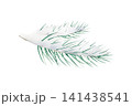 Green Christmas pine twig. Watercolor winter branch, hand drawn illustration isolated on background, transparent png. Botanical, wedding clip art. For greeting card, wallpaper, wrapping paper design,  141438541