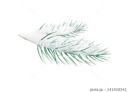 Green Christmas pine twig. Watercolor winter branch, hand drawn illustration isolated on background, transparent png. Botanical, wedding clip art. For greeting card, wallpaper, wrapping paper design, Green Christmas pine twig. Watercolor winter branch, hand drawn illustration isolated on background, transparent png. Botanical, wedding clip art. For greeting card, wallpaper, wrapping paper design, 141438541