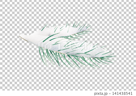 Green Christmas pine twig. Watercolor winter branch, hand drawn illustration isolated on background, transparent png. Botanical, wedding clip art. For greeting card, wallpaper, wrapping paper design, Green Christmas pine twig. Watercolor winter branch, hand drawn illustration isolated on background, transparent png. Botanical, wedding clip art. For greeting card, wallpaper, wrapping paper design, 141438541