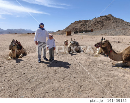 Father and son posing with resting camels in a sun drenched desert landscape, with rolling sand dunes and a clear blue sky creating a warm, family oriented travel scene. Father and son posing with resting camels in a sun drenched desert landscape, with rolling sand dunes and a clear blue sky creating a warm, family oriented travel scene. 141439183
