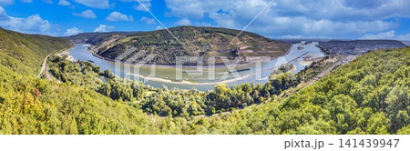 Panorama of the Urphar Main Loop near Wertheim with vineyards and river landscape Panorama of the Urphar Main Loop near Wertheim with vineyards and river landscape 141439947