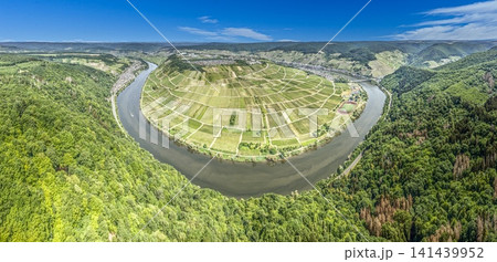 Aerial panorama of the Urphar Main Loop vineyards near Wertheim Germany Aerial panorama of the Urphar Main Loop vineyards near Wertheim Germany 141439952