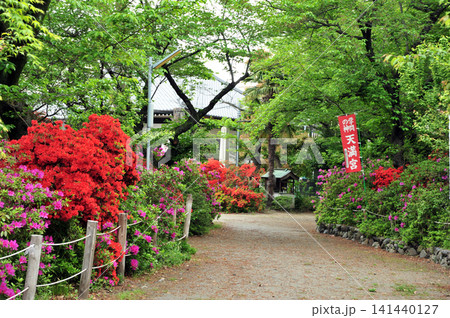 京都　吉祥院天満宮 141440127