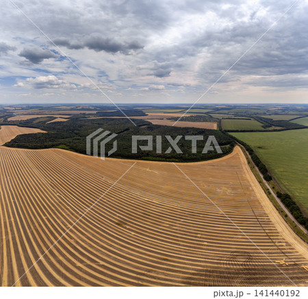 Aerial harvested golden wheat farmland fields 141440192