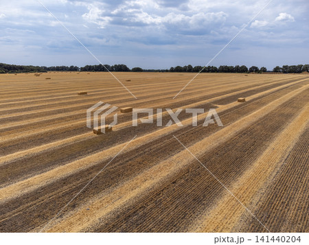 Aerial Harvested Wheat Field with Bales and Clouds Aerial Harvested Wheat Field with Bales and Clouds 141440204