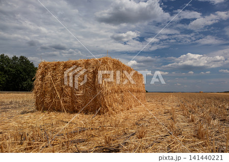Golden Harvested Hay Bales on Agriculture Field 141440221