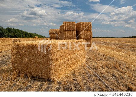 Stacked Hay Bales in Summer Agriculture Field Stacked Hay Bales in Summer Agriculture Field 141440236