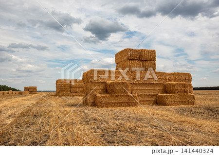 Stacked Hay Bales in Golden Field Under Cloudy Sky 141440324