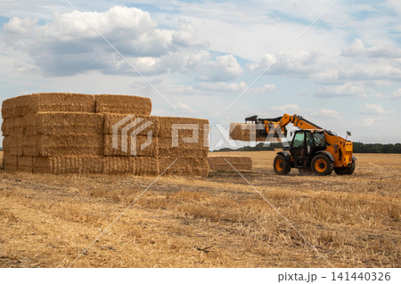Tractor Moving Hay Bales in Agricultural Field 141440326