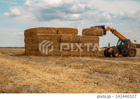 Telehandler Stack Hay Bales in Agricultural Field Telehandler Stack Hay Bales in Agricultural Field 141440327