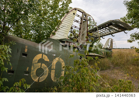 Abandoned An-2 Aircraft in Overgrown Vegetation Abandoned An-2 Aircraft in Overgrown Vegetation 141440363