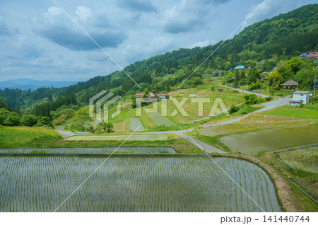 【田植え】栃倉の棚田【長野市中条】 【田植え】栃倉の棚田【長野市中条】 141440744