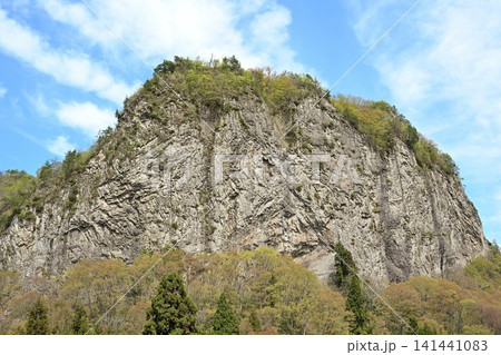 新緑に包まれた八木ヶ鼻(新潟県三条市下田) 新緑に包まれた八木ヶ鼻(新潟県三条市下田) 141441083