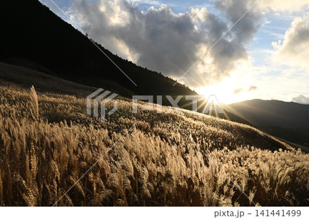 ススキのある風景 ススキのある風景 141441499
