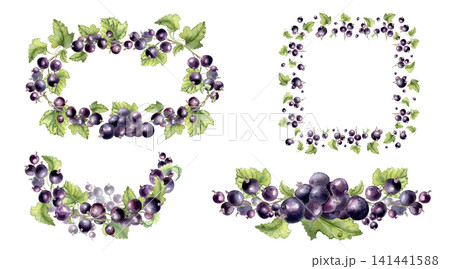 Black currant watercolor set with a vibrant square frame and borders isolated background. Botanical illustration hand painted for summer and spring designs. Berries clipart of juicy bunch foliage. Black currant watercolor set with a vibrant square frame and borders isolated background. Botanical illustration hand painted for summer and spring designs. Berries clipart of juicy bunch foliage. 141441588