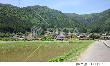 青空と新緑に映える美山の茅葺き集落と田園風景 青空と新緑に映える美山の茅葺き集落と田園風景 141441589