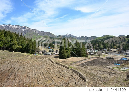 北五百川の棚田と春の風景(新潟県三条市下田) 北五百川の棚田と春の風景(新潟県三条市下田) 141441599