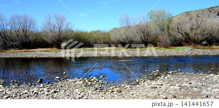 Salt River Recreation Area Arizona 141441657