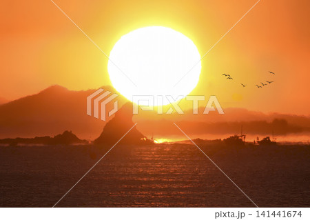 のぼる太陽と海と釣り船と海鳥　茅ヶ崎烏帽子岩の日の出 141441674