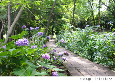 磯川緑地公園 磯川緑地公園 141441872