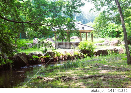 磯川緑地公園 磯川緑地公園 141441882