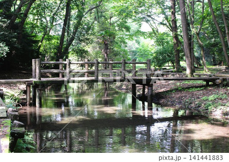 磯川緑地公園 磯川緑地公園 141441883