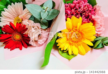 カラフルなガーベラの花束 141442088