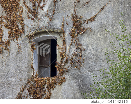 A wooden window stands open in an abandoned house. Dry ivy vines cover the weathered plaster wall. This scene is set in the quiet Spanish countryside. A wooden window stands open in an abandoned house. Dry ivy vines cover the weathered plaster wall. This scene is set in the quiet Spanish countryside. 141442116