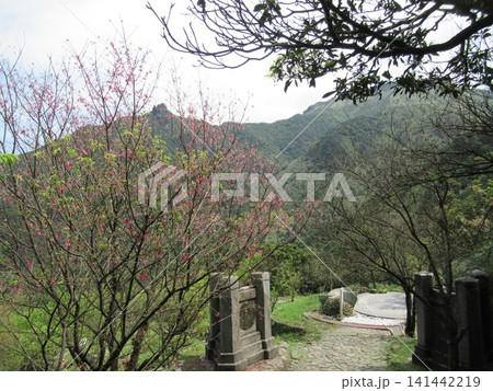 台湾の金瓜石神社から無耳茶壺山を望む風景 台湾の金瓜石神社から無耳茶壺山を望む風景 141442219