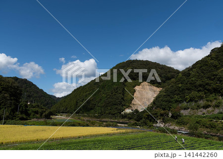 青空が広がる中山間地域の田畑と農作業をする人々 青空が広がる中山間地域の田畑と農作業をする人々 141442260