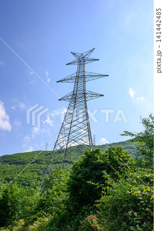 Steel power line tower rises above forested hillside under sunny skies 141442485
