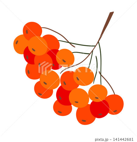 Simple icon, sign. Vector illustration Simple icon, sign. Vector illustration 141442681