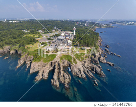 福井県・東尋坊を空撮した柱状節理の絶景と日本海 141442766