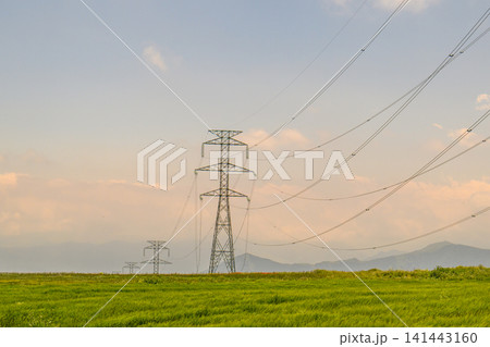 Utility poles with wires in rural countryside at sunset 141443160