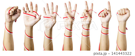 Set of human hands wrapped with red and white ribbon displaying finger counting numbers isolated on white background. High Quality Photo Set of human hands wrapped with red and white ribbon displaying finger counting numbers isolated on white background. High Quality Photo 141443322