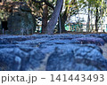 Close-up of the stone in Nagoya Castle. The stone and the path in the garden of Nagoya Castle. Important tourist attractions in Nagoya, Japan. Famous travel landmark destination in Aichi, Chubu. 141443493