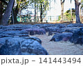 Close-up of the stone in Nagoya Castle. The stone and the path in the garden of Nagoya Castle. Important tourist attractions in Nagoya, Japan. Famous travel landmark destination in Aichi, Chubu. 141443494