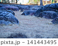 Close-up of the stone in Nagoya Castle. The stone and the path in the garden of Nagoya Castle. Important tourist attractions in Nagoya, Japan. Famous travel landmark destination in Aichi, Chubu. 141443495