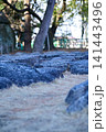 Close-up of the stone in Nagoya Castle. The stone and the path in the garden of Nagoya Castle. Important tourist attractions in Nagoya, Japan. Famous travel landmark destination in Aichi, Chubu. 141443496