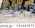 Close-up of the shadow of trees in the garden in the afternoon. Bright sunlight in the afternoon. 141443675
