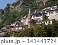 Traditional ottoman houses in old town Berat known as the White City of Albania 141443724