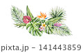 Tropical bouquet. Palm tree, monstera and Strelitzia, frangipani, hibiscus flowers. Watercolor hand drawn Heliconia, plumeria isolated illustration on transparent background. Perfect for design projec 141443859