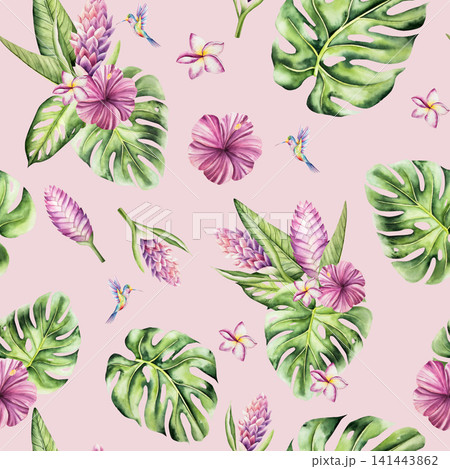 Tropical seamless pattern, Hummingbird, blooming frangipani, curcuma, flowers on on a branch. Watercolor hand drawn monstera leaf plumeria, Ginger plant. Isolated botanical illustration on transparent Tropical seamless pattern, Hummingbird, blooming frangipani, curcuma, flowers on on a branch. Watercolor hand drawn monstera leaf plumeria, Ginger plant. Isolated botanical illustration on transparent 141443862