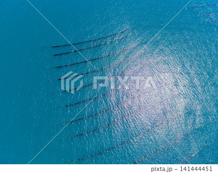 Mussel farm located in clear blue waters with lines indicating farming structures and equipment for growing mussels Mussel farm located in clear blue waters with lines indicating farming structures and equipment for growing mussels 141444451