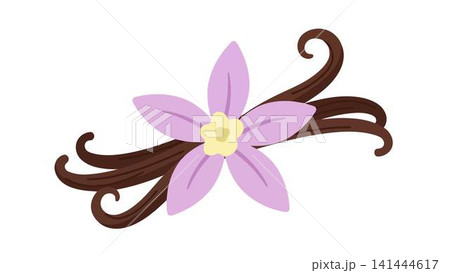 stylized icon of a colored flower stylized icon of a colored flower 141444617