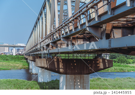 夏の相模川橋梁(小田急小田原線) 夏の相模川橋梁(小田急小田原線) 141445955