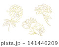 Golden peony flower outline in vintage botanical style. Hand drawn floral isolated illustrations set. Perfect for wedding invitations or decorative design projects. 141446209