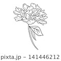 Elegant peony flower outline in vintage botanical style. Hand drawn floral sketch with detailed petals and leaves. Perfect for wedding invitations or decorative design projects. 141446212