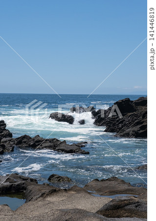 神奈川県城ヶ島の磯に打ち寄せる波 神奈川県城ヶ島の磯に打ち寄せる波 141446819